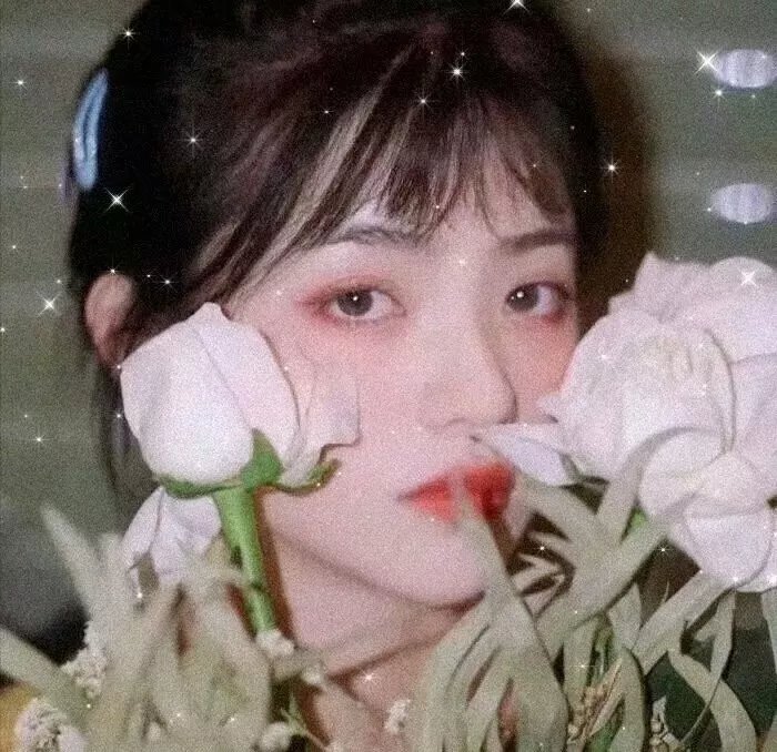 盐湖计划