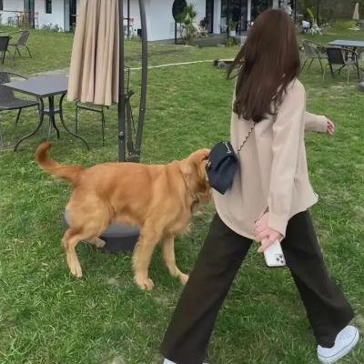 女学生和亨利先生
